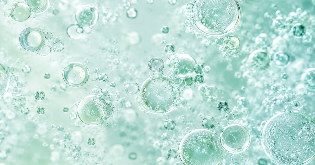 The Biofermentation Process