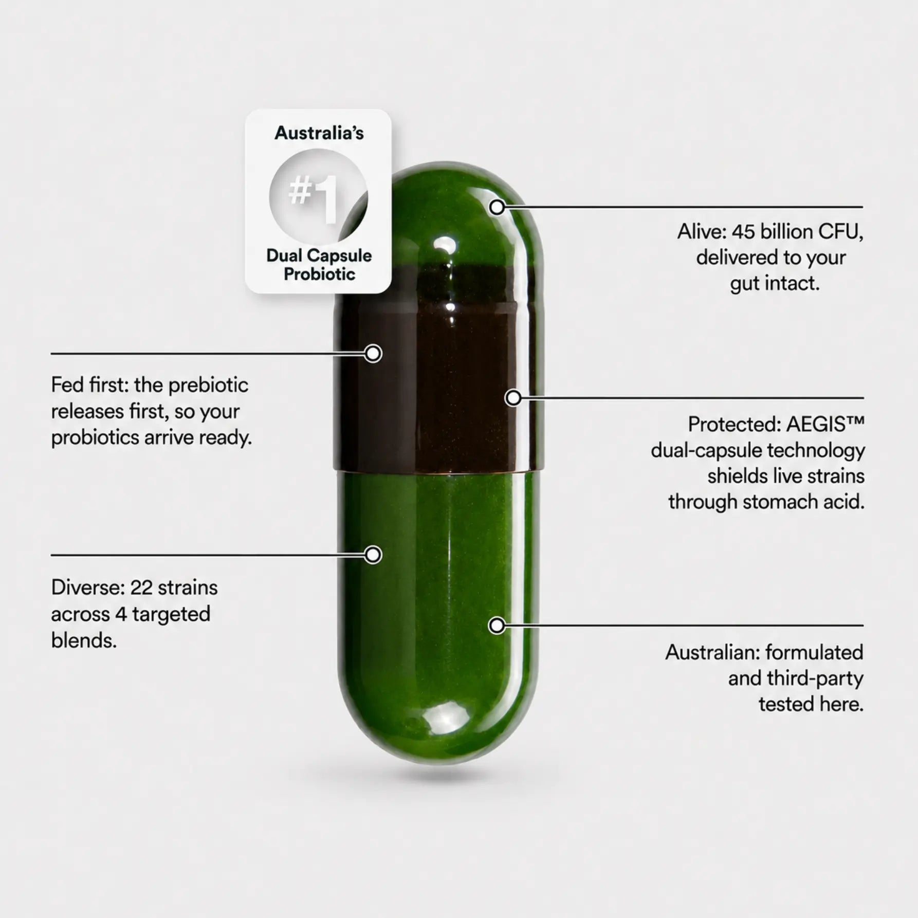 Dual-Cap Synbiotic