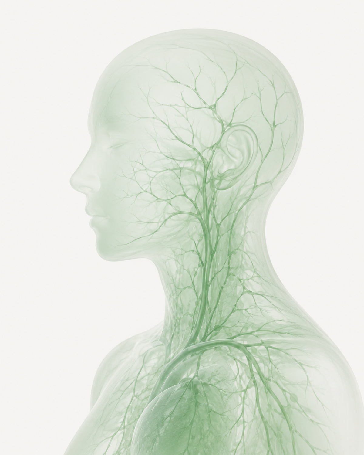 The Gut-Brain Axis