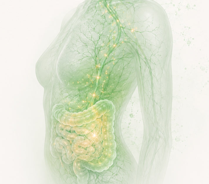 The Gut-Skin Axis